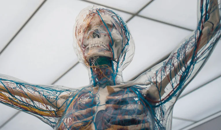 Los elementos fundamentales de un escape room