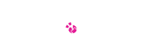 Cronoroom, escape room Gandía